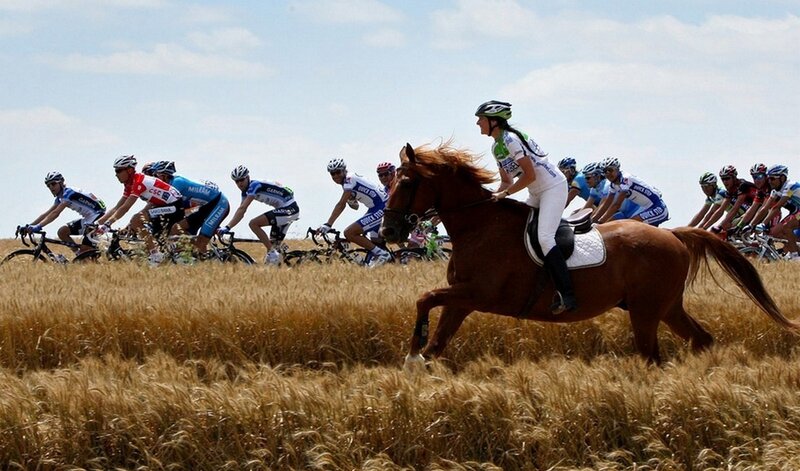 Cyclists racing through a wheat field