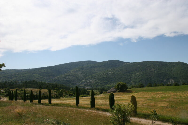 Cypress-lined path in a mountain valley
