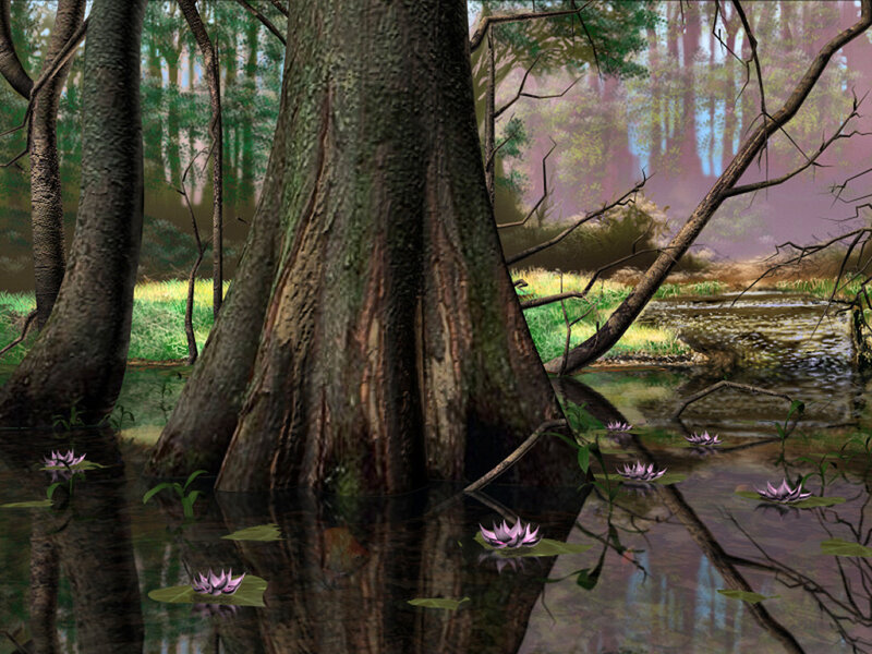 Cypress Tree in Swamp — Green