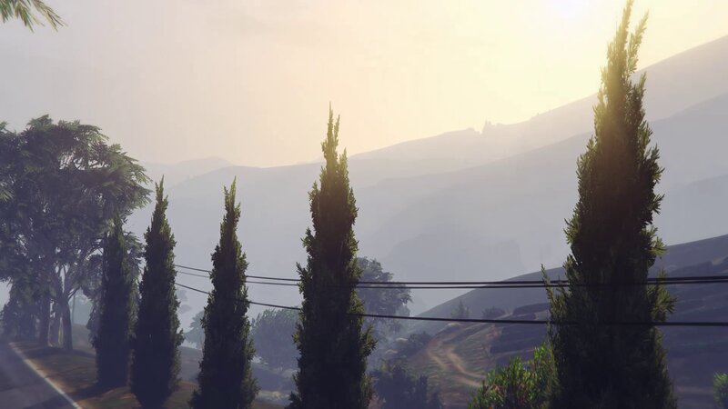 Cypress Trees in Valley