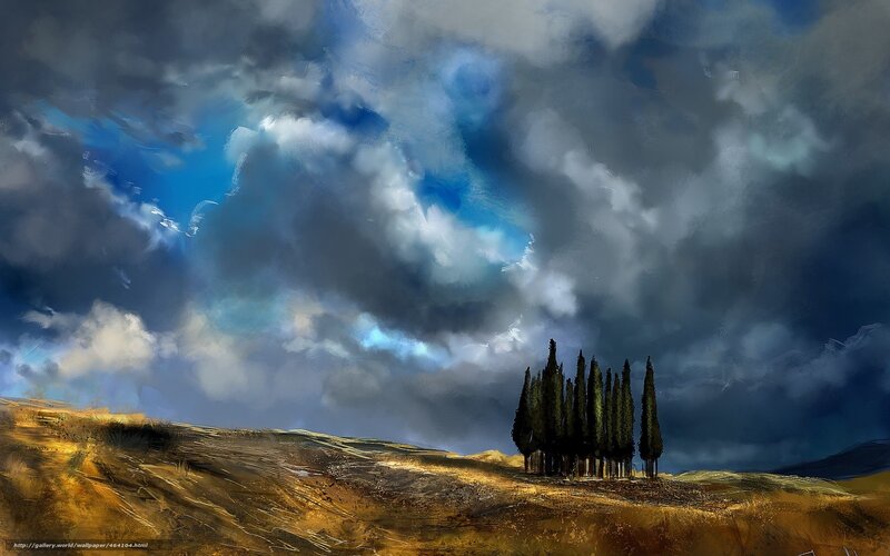 Cypress trees on a hill