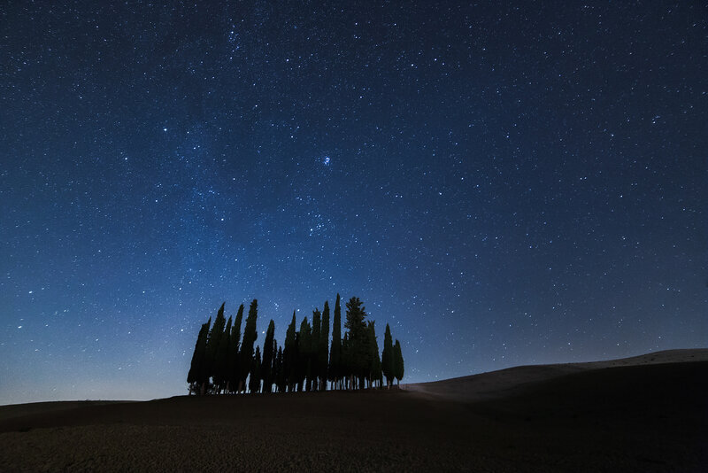Cypress Trees on Hill — Blue, Serene, Night