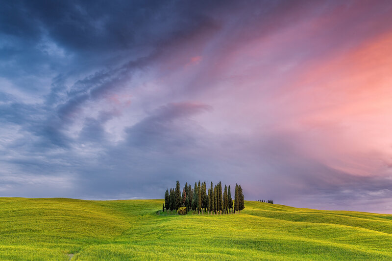 Cypress Trees on Hill — Green, Dramatic, Sunset