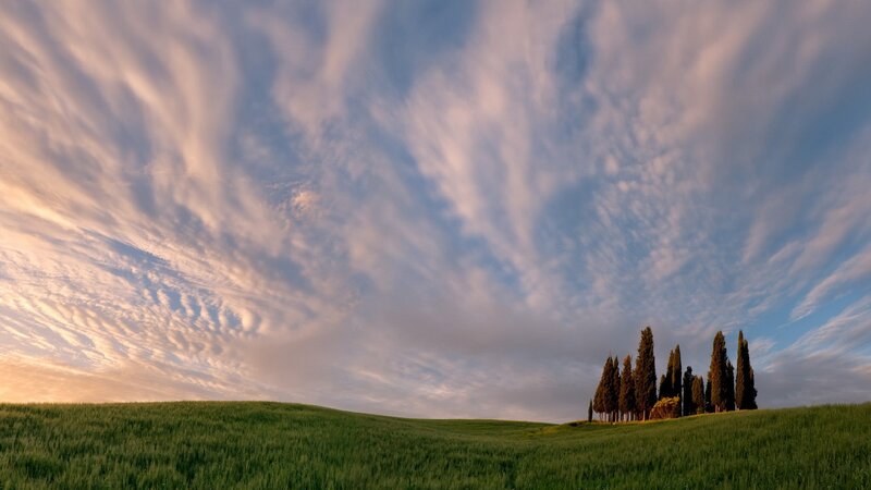 Cypress Trees on Hill — Green, Serene, Sunset