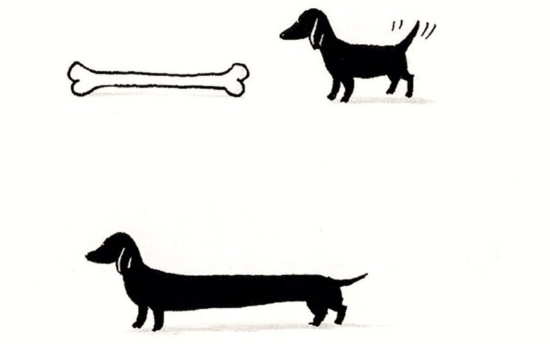 Dachshund Dog — Black, Playful