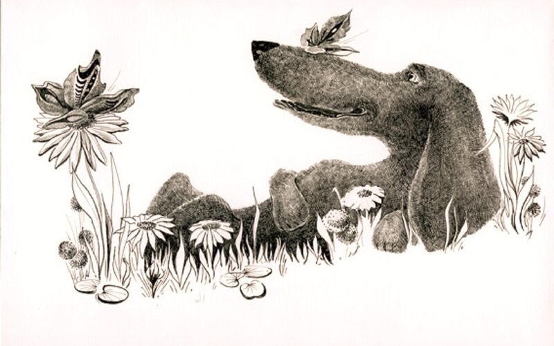 Dachshund in Flowers — Black