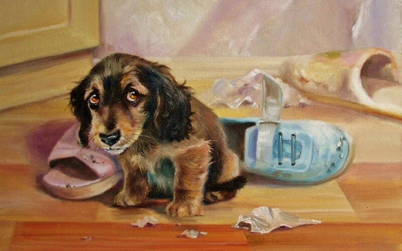 Dachshund Puppy — Brown, Calm, Painting