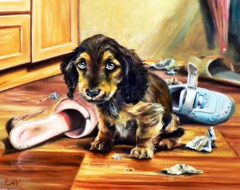 Dachshund Puppy — Brown, Guilty