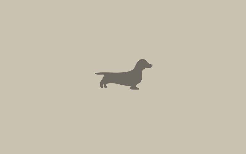Dachshund Silhouette — Gray