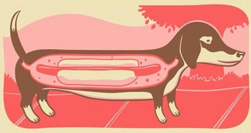 Dachshund with Hot Dog