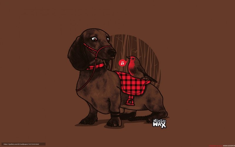 dachshund with robin