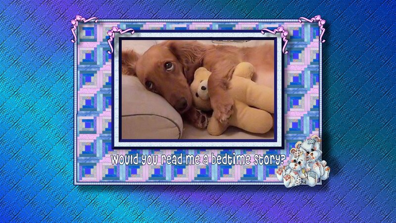 Dachshund with Teddy Bear