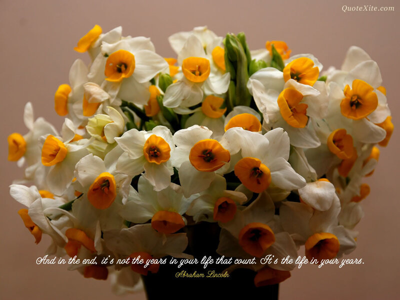 Daffodil Bouquet