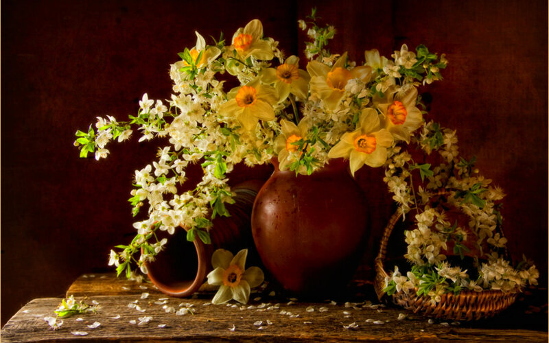 Daffodils and Blossoms — Brown