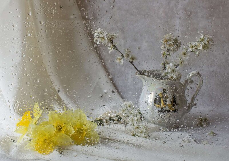 Daffodils and Blossoms