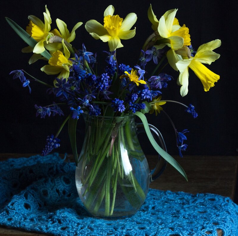 Daffodils and Bluebells in Vase