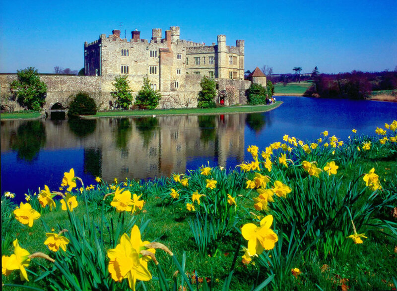 Daffodils and Castle