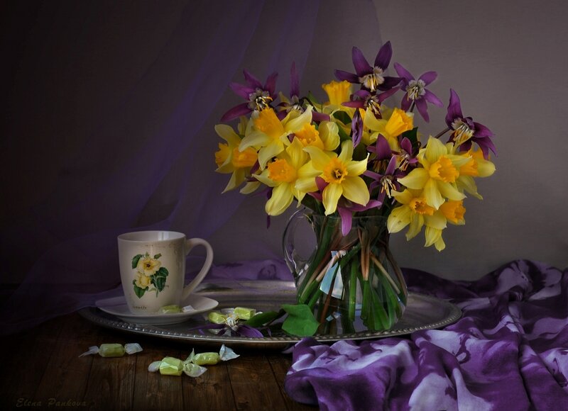 Daffodils and Cup