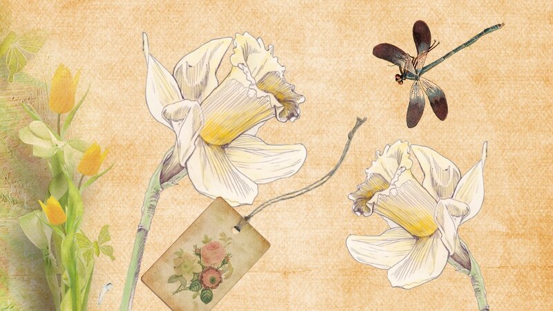 Daffodils and Dragonfly