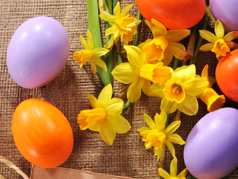 Daffodils and Easter Eggs — Yellow, Festive, Spring, Photograph
