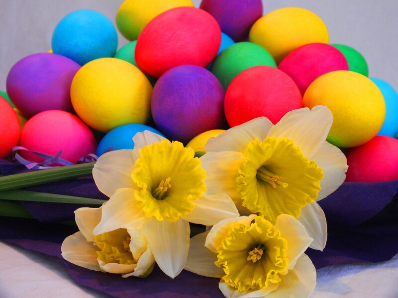 Daffodils and Easter Eggs — Yellow, Festive