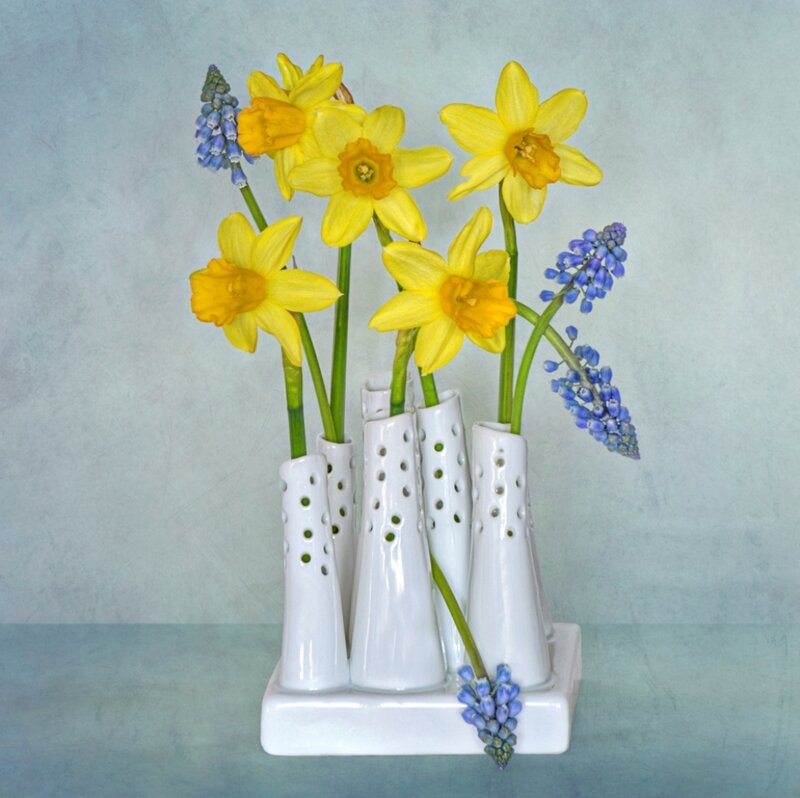 Daffodils and Grape Hyacinths — Yellow, Calm