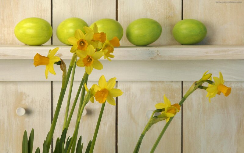Daffodils and Green Eggs