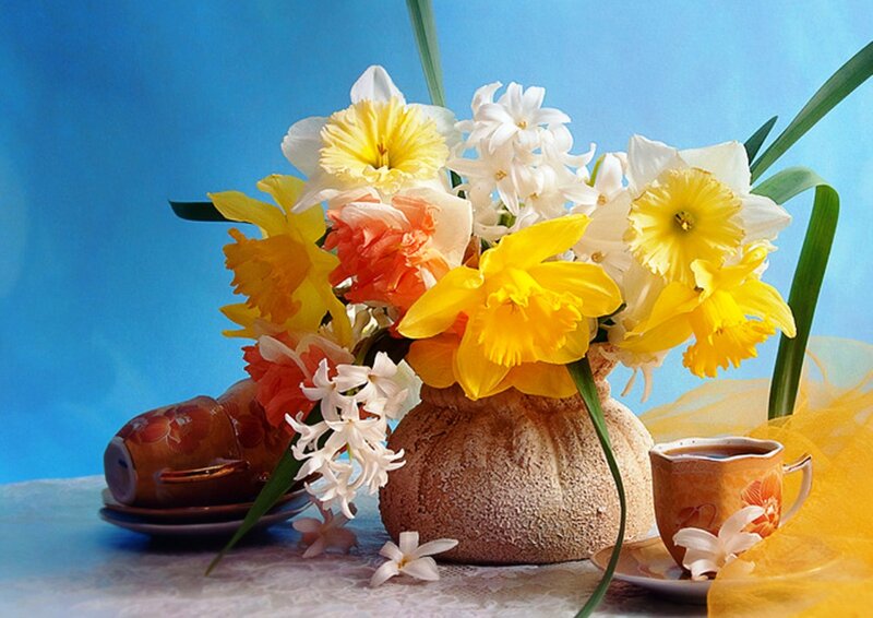 Daffodils and Hyacinths