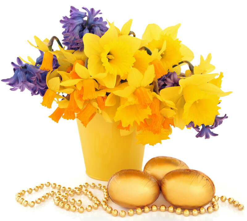 Daffodils and Hyacinths — Yellow