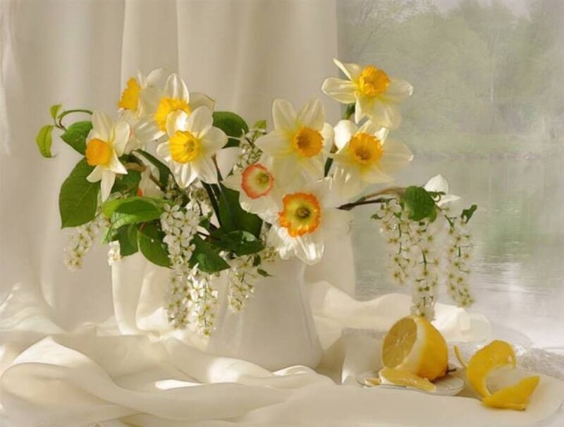 Daffodils and Lemon