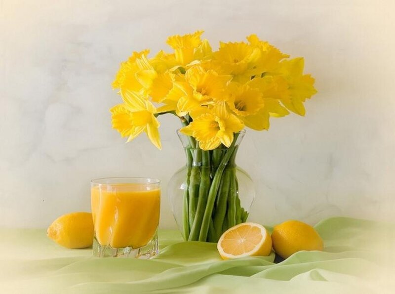 Daffodils and Lemons — Yellow, Calm, Morning