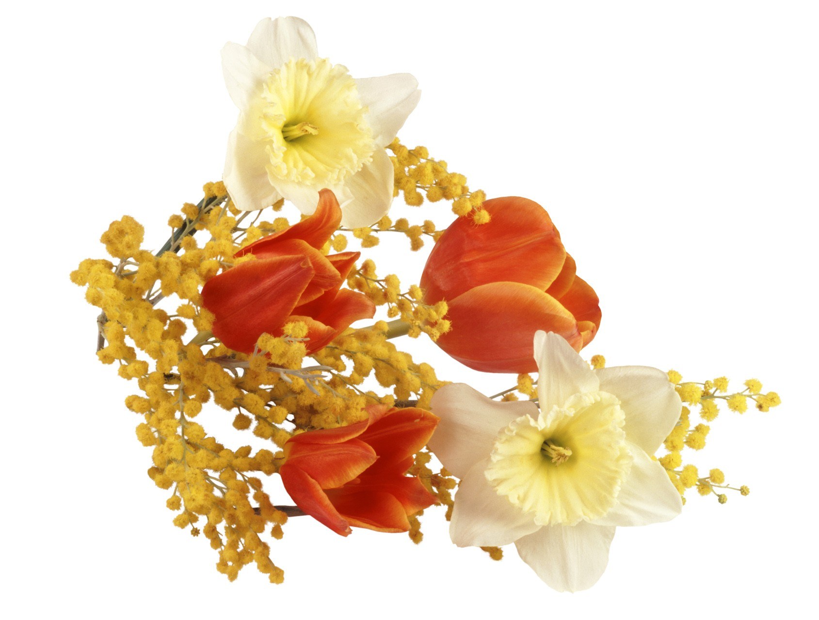 daffodils and mimosa bouquet