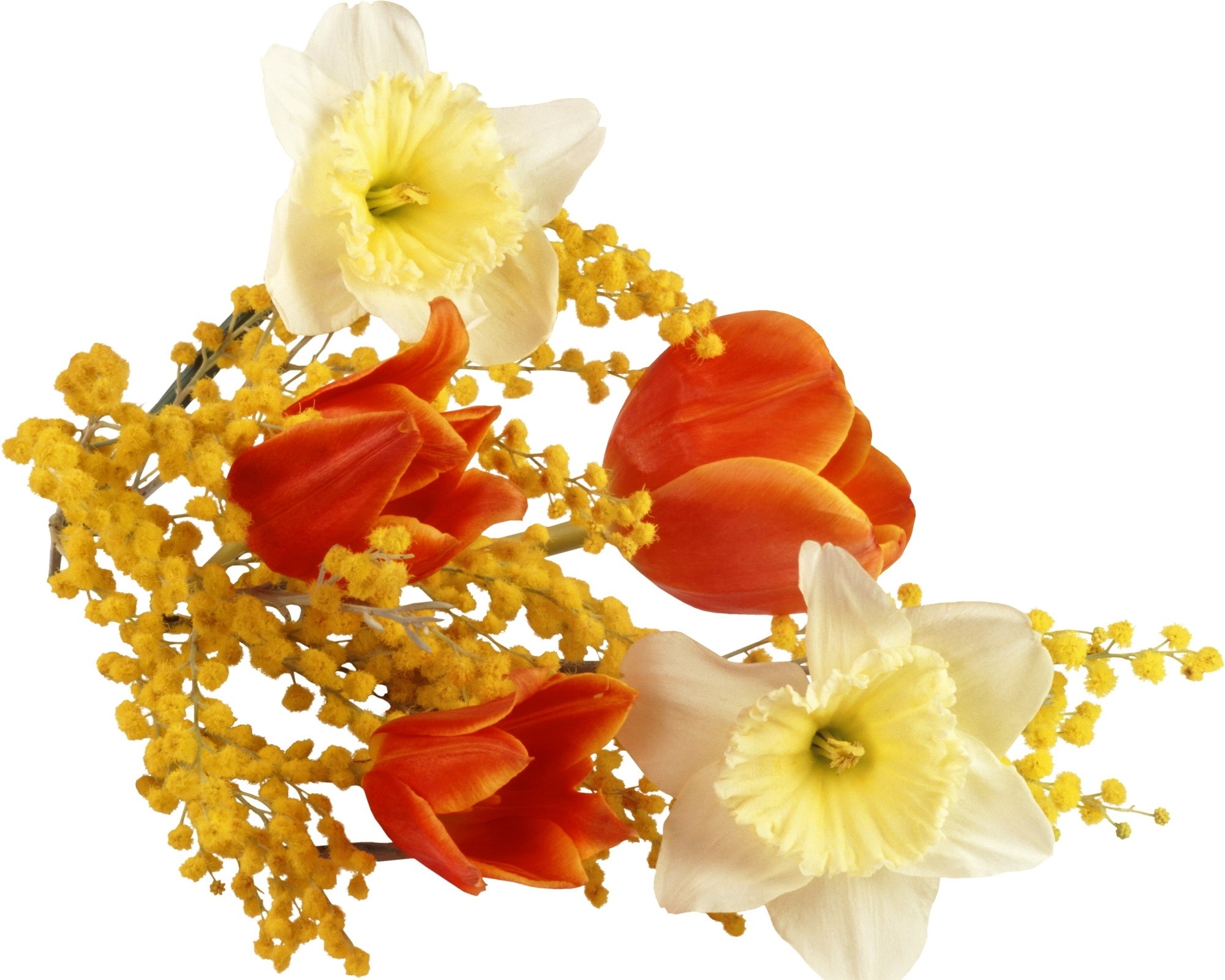 daffodils and mimosa bouquet