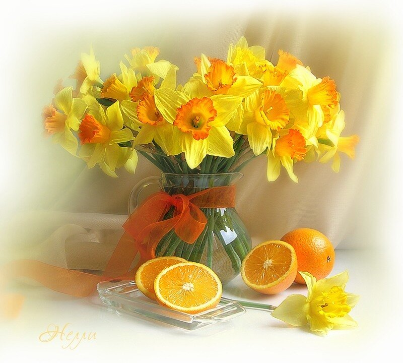 daffodils and oranges still life
