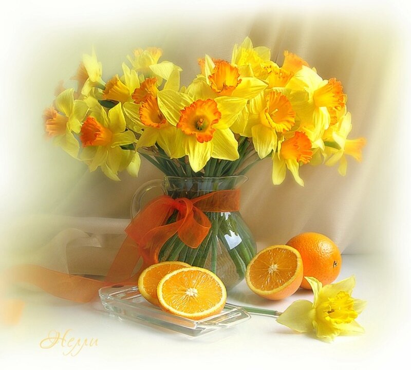 Daffodils and Oranges