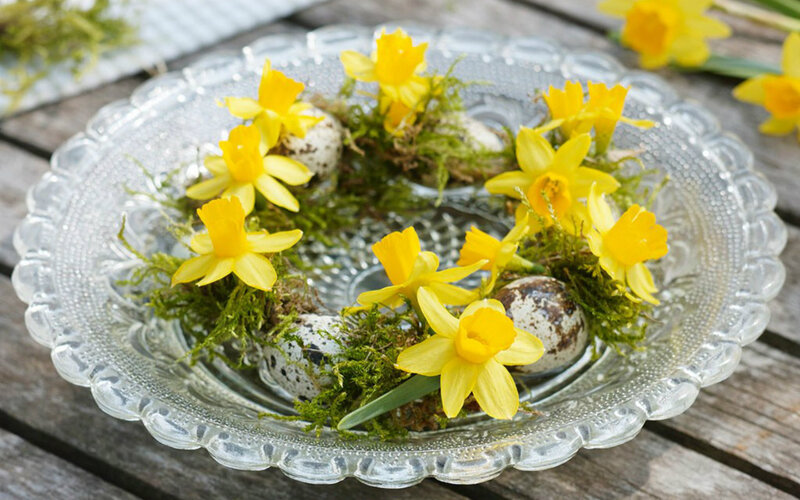 Daffodils and Quail Eggs