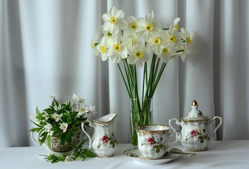 Daffodils and Tea Set — White, Serene, Spring