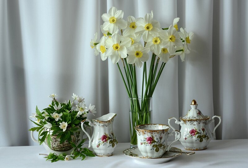 Daffodils and Tea Set — White