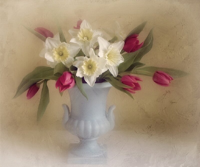 Daffodils and Tulips — White, Serene, Spring