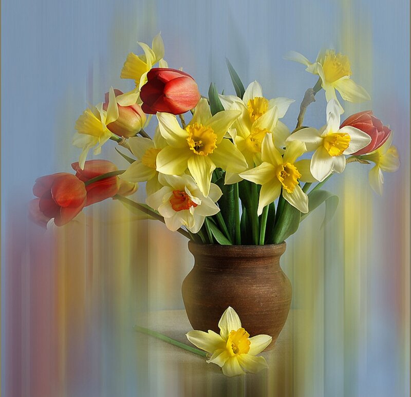 Daffodils and Tulips — Yellow, Serene