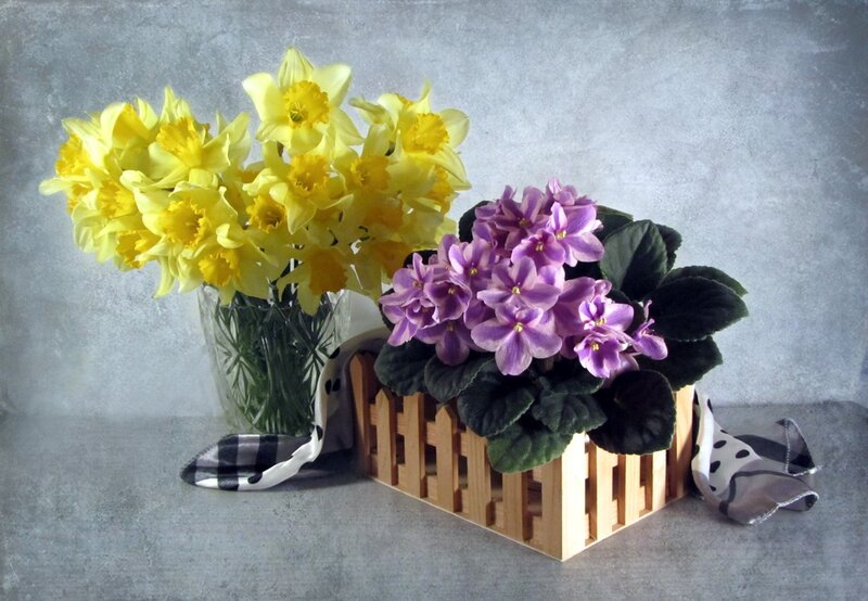 Daffodils and Violets