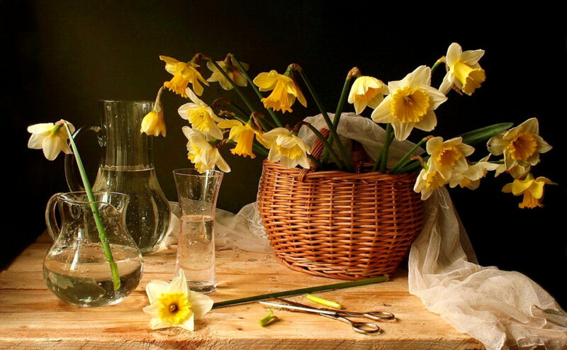 Daffodils in a basket