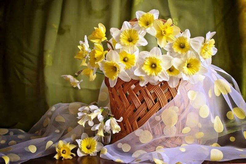 Daffodils in a Basket — Yellow, Serene