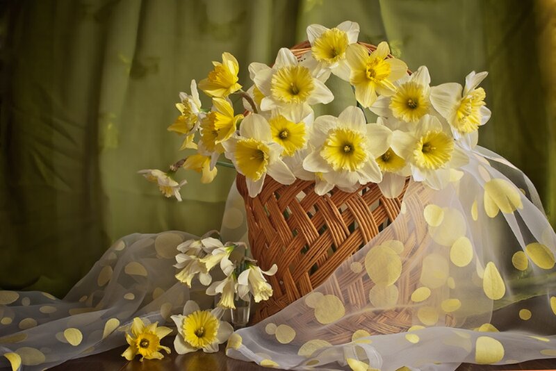 Daffodils in a Basket — Yellow