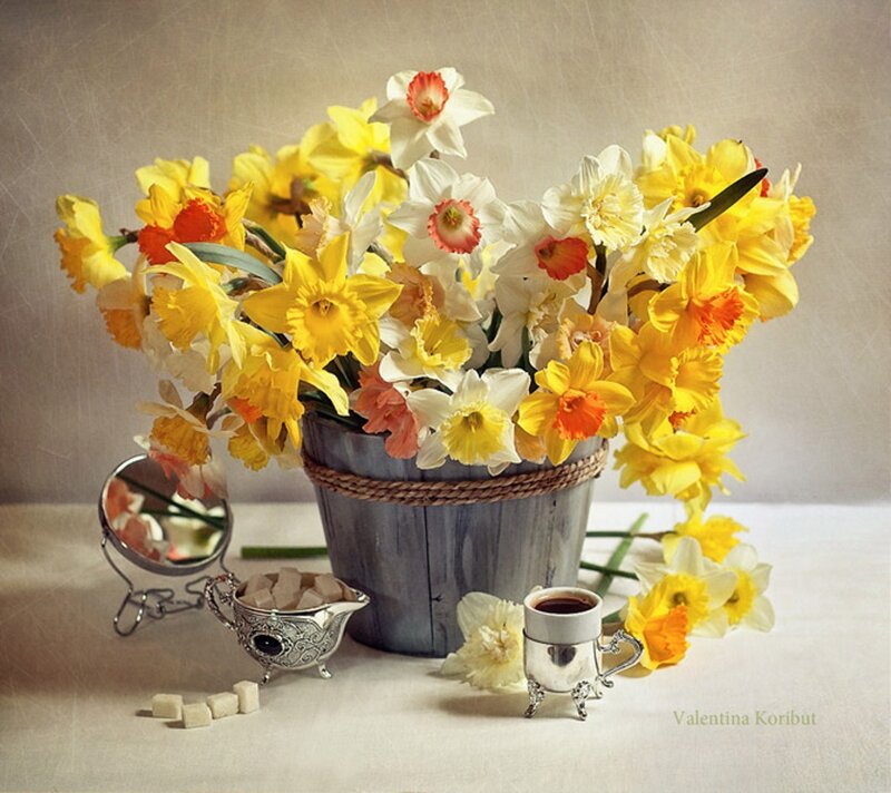 Daffodils in a Bucket
