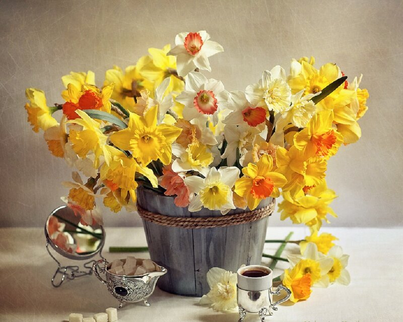 Daffodils in a Bucket — Yellow