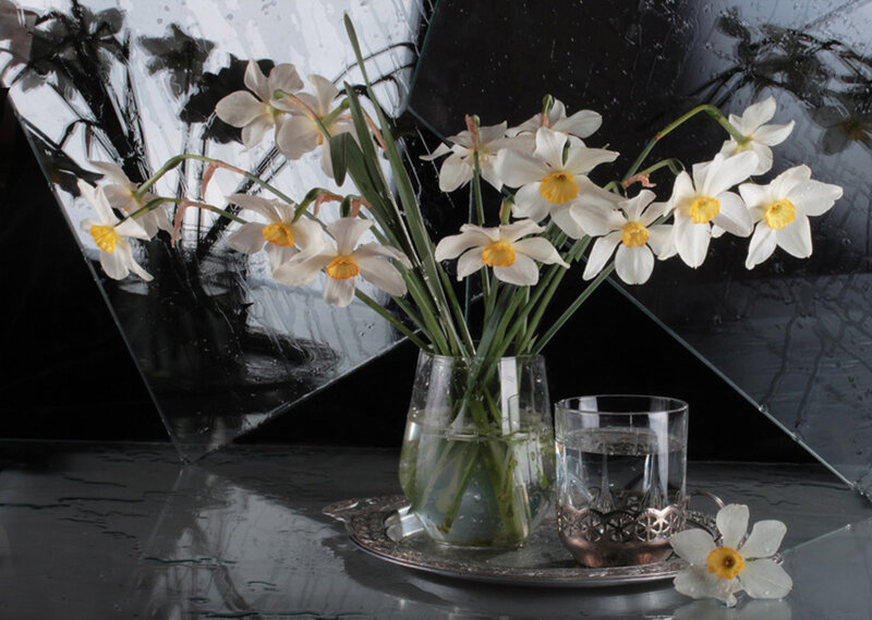 Daffodils in a glass vase