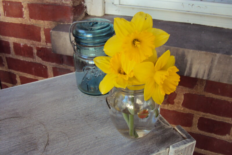 Daffodils in a Jar