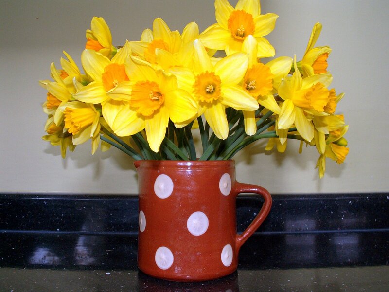 Daffodils in a Mug — Yellow