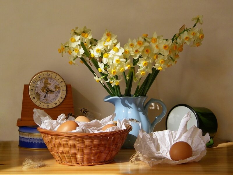 Daffodils in a Pitcher